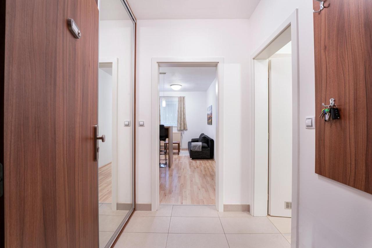 Appartamento Depandance Marnet Sneznik Dolní Morava Esterno foto